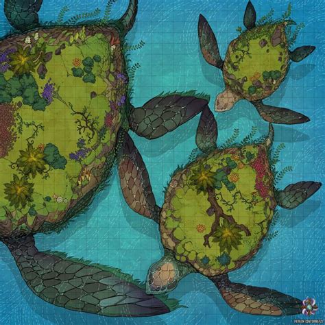 Turtle Islands Public X Dr Mapzo Dnd World Map Fantasy Map