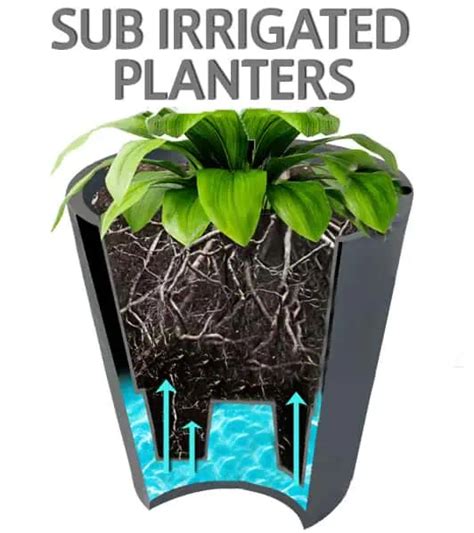 Subirrigated Urbanscape Self Watering Planters