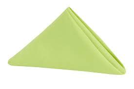 Apple Green Napkins Novelty Party Rentals