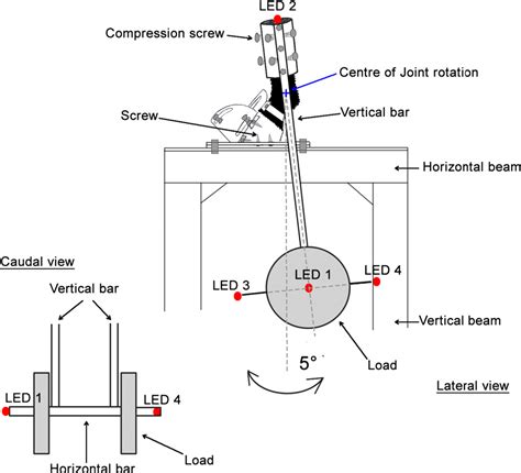 Figure 1 From A Pendulum Test As A Tool To Evaluate Viscous Friction