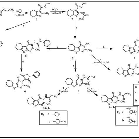 Scheme 1 Synthesis Pathways For The Designed Compounds 1 12