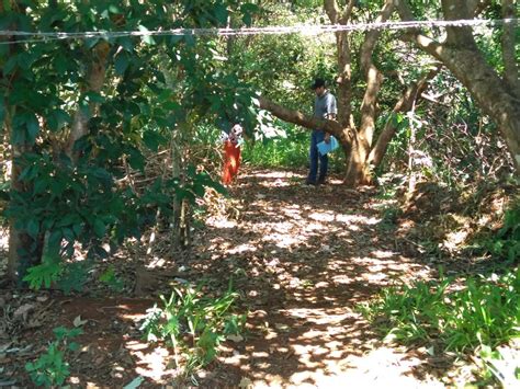 Corpo de jovem é encontrado sinais de agressão embaixo de árvore em