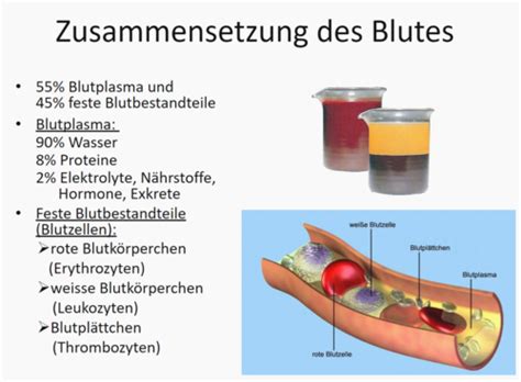 Blut Flashcards Quizlet