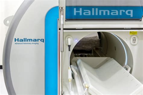 Small Animal MRI Machines | Hallmarq Veterinary Imaging