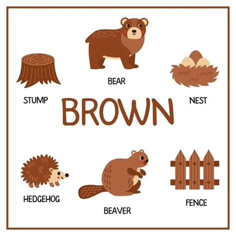 Learning colors worksheet for kids. Brown color flashcard. 33841838 Vector Art at Vecteezy