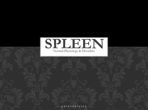 Spleen Ppt