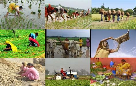 Development Of Agriculture In India