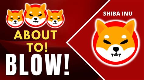 Shocking Shibarium Launches Today By Ceo Of Shiba Inu Coin Shiba