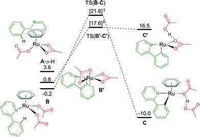 A Computational Study On The Identity Of The Active Catalyst Structure