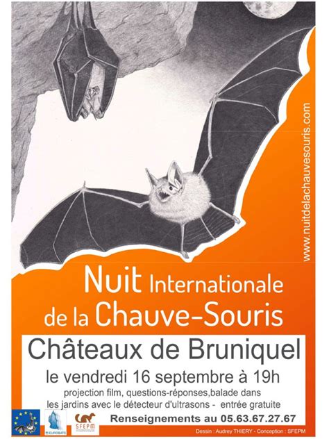 La Nuit De La Chauve Souris Bruniquel