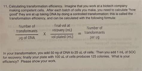 Solved 11 Calculating Transformation Efficiency Imagine Chegg