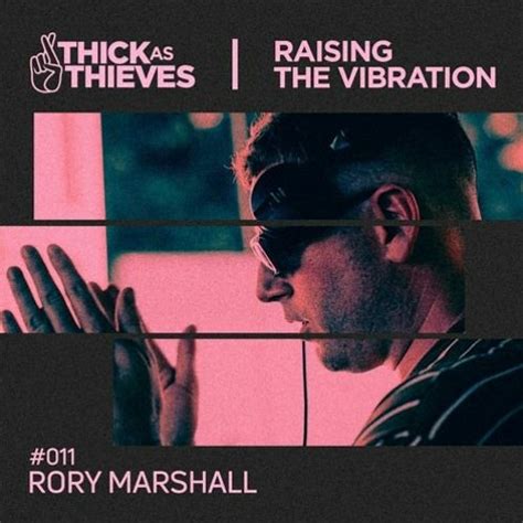 Stream Rory Marshall Listen To Raising The Vibration Mix 011 — Rory