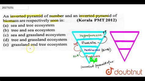 Inverted Pyramid Of Numbers