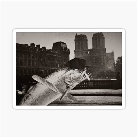 The Humpback Of Notre Dame Sticker By LuckyBee Redbubble