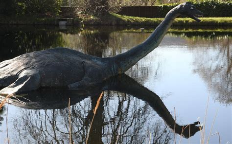 Das Ungeheuer Von Loch Ness Viele Menschen Glauben An Nessie