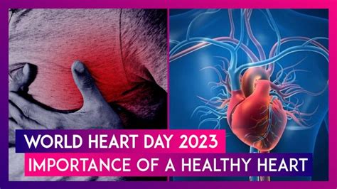 World Heart Day 2023 Know Date History And Importance Of A Healthy