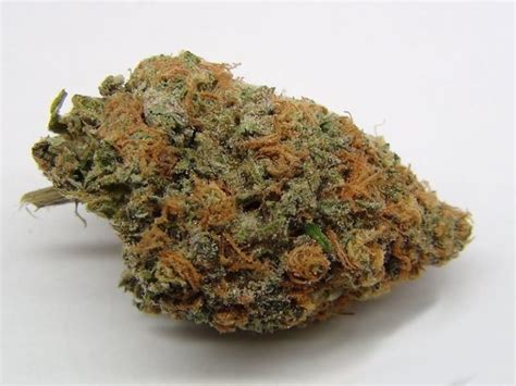 Purple Kush [PK] Marijuana Strain Review & Info