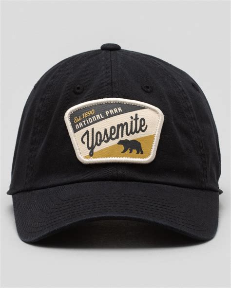 Shop American Needle Yosemite Bear Ball Park Dad Cap In Black Fast