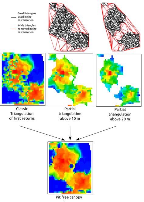 6 Digital Surface Model And Canopy Height Model The LidR Package