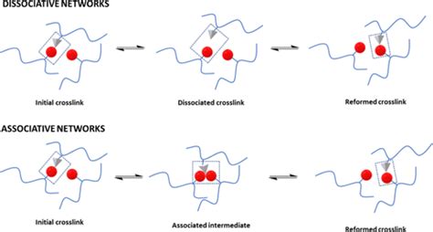 Schematic Representation Of Dissociative And Associative Types Of CANs