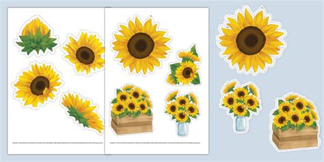 Sunflower Themed Sunflower Cut Outs Teacher Made Twinkl