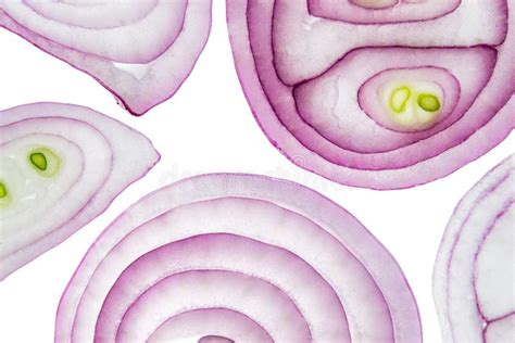 Sliced Red Onion Rings On White Background Top View Macro Stock Photo