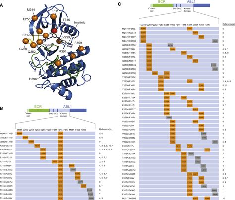 Bcr Abl1 Compound Mutations Combining Key Kinase Domain Positions