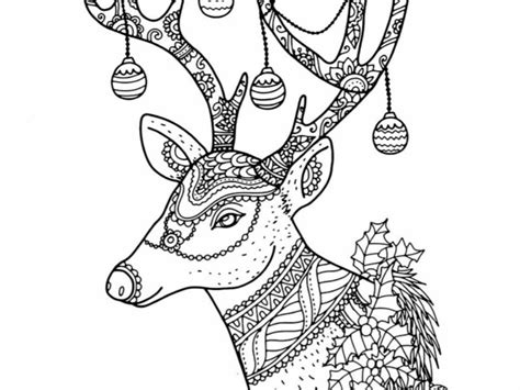 Reindeer Coloring Pages Printable