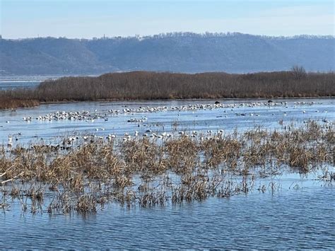 Upper Mississippi River National Wildlife and Fish Refuge | Explore ...