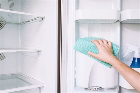 How To Clean A Fridge Properly Maughanster Appliance Repair