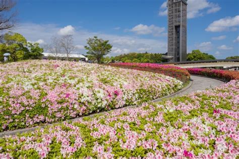 浜名湖花園公園