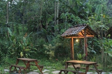 Hidden Gems 5 Tempat Nongkrong Asyik Bersama Teman Di Semarang Dan