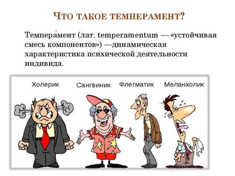 Занятие о темпераменте для учеников 8 класса в картинках