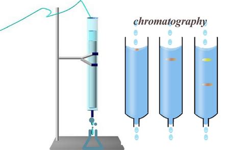 Column Chromatography A Step By Step Guide On How To Do It Invented By The American Chemist