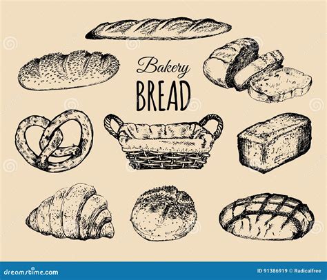 Bakery Products Setbread Collectionhand Drawn Loafs Croissantbagel