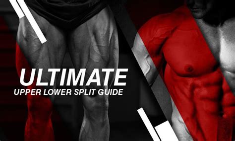 The Ultimate Upper Lower Split Guide 2 Day 3 Day And 4 Day Workouts Fitmole