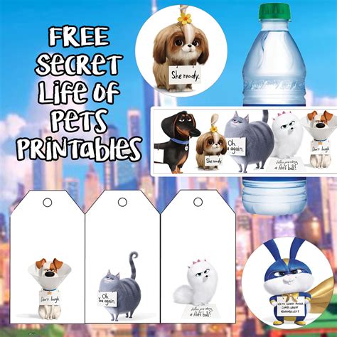 Daisy Celebrates Secret Life Of Pets 2 Movie Birthday Party Printable