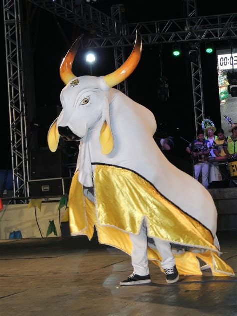 65º Festival Folclórico do Amazonas conheça os bois bumbás da