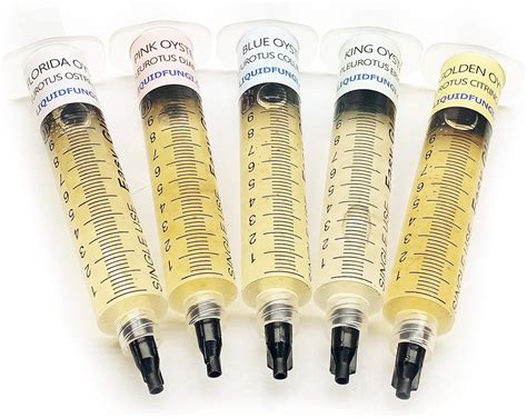 Liquid Fungi Oyster Mushroom Liquid Culture Syringe 5 Pack