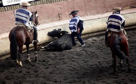 Es S Dico Y Se Basa En La Tortura De Un Ser Vivo Proponen Que El