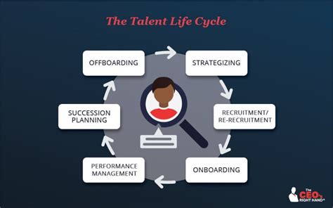 Mastering the Talent Life Cycle for Healthy Business Growth