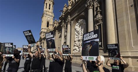 Protesta Antitaurina En La Plaza Del Pilar De Zaragoza Im Genes