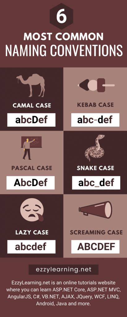 6 Most Common Naming Conventions Infographic