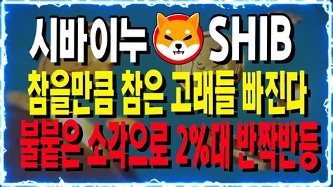 시바이누shib 참을만큼 참은 고래들 빠진다 그러나 소각 진행중 Youtube