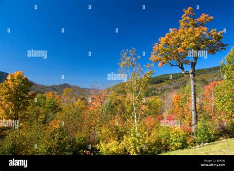 Scenic view of fall foliage in the Franconia Notch State Park New ...