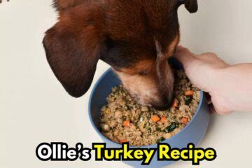 Ingredients - Ollie Dog Food USA