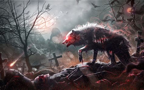 Scary Werewolf Wallpapers Top Free Scary Werewolf Backgrounds