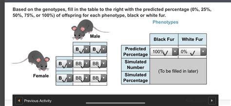 In The Punnett Square Fill In The Shaded Boxes With The Alleles Of