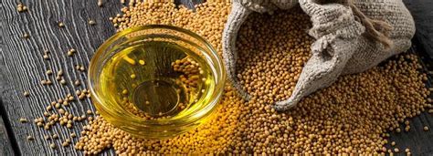 Benefits Of Mustard Oil And Its Side Effects Lybrate