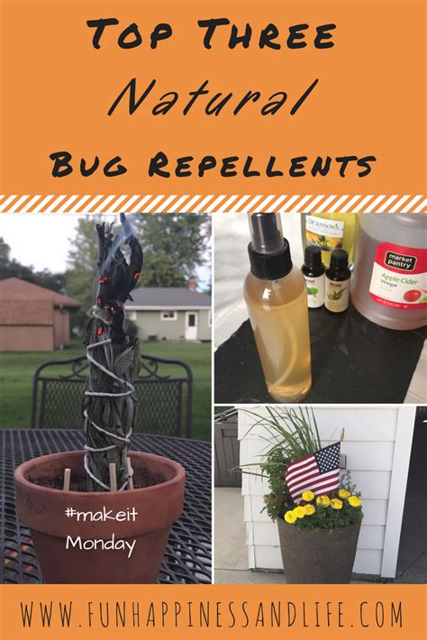 Top 3 Natural Bug Repellents Fun Happiness And Life Natural Bug